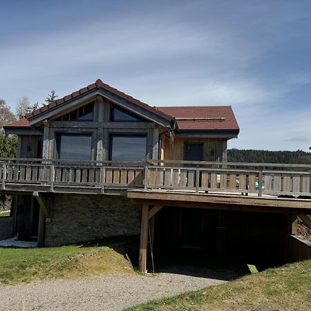 L'Adret Du Temps Chalet 10 Personnes 170M2 Gérardmer Kültér fotó