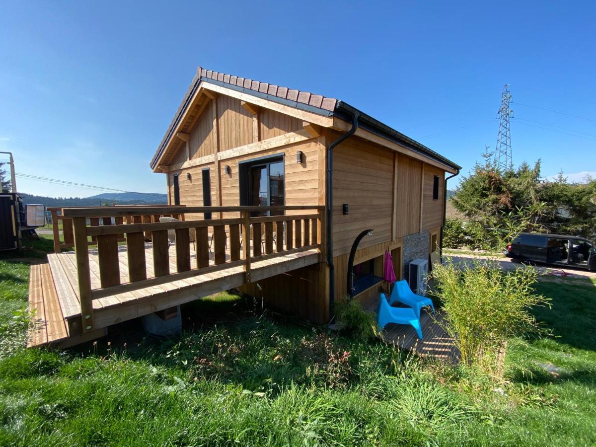 L'Adret Du Temps Chalet 10 Personnes 170M2 Gérardmer Kültér fotó